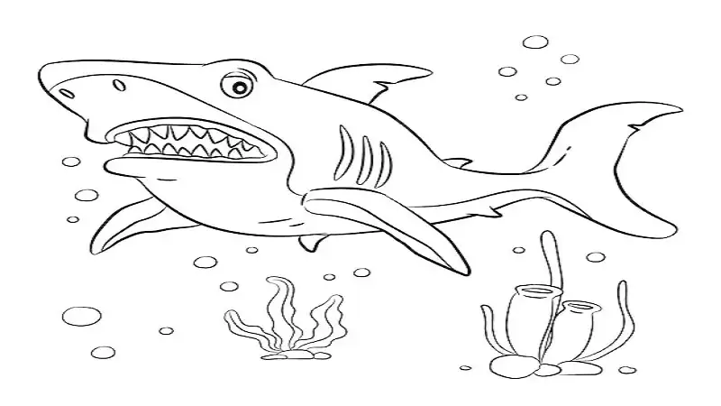 cute:s4nremv56q0= shark drawing